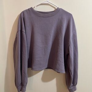 Light Purple Crew Neck Long Sleeve Crop Sweatshirt